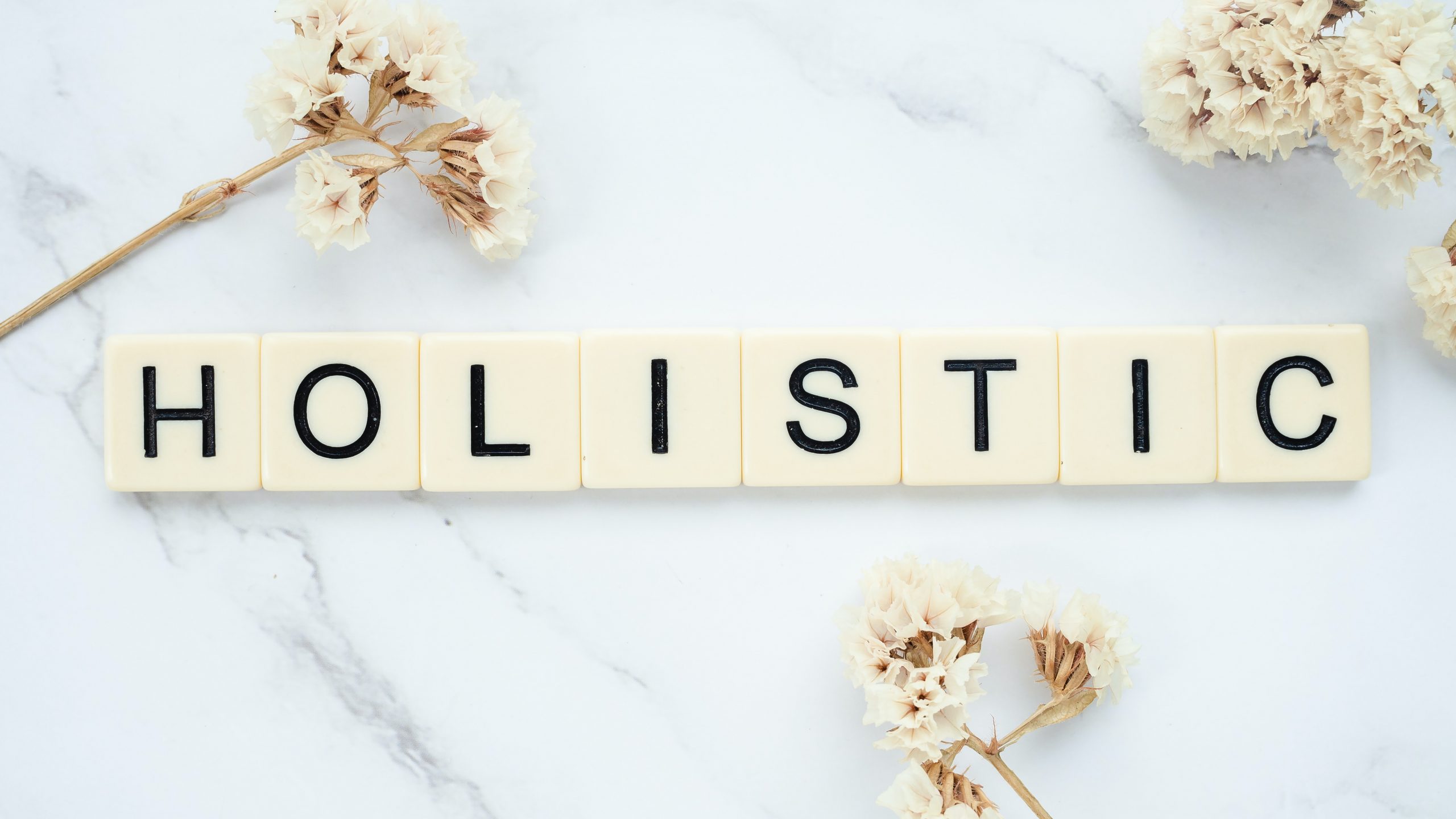 What is Holistic Business?