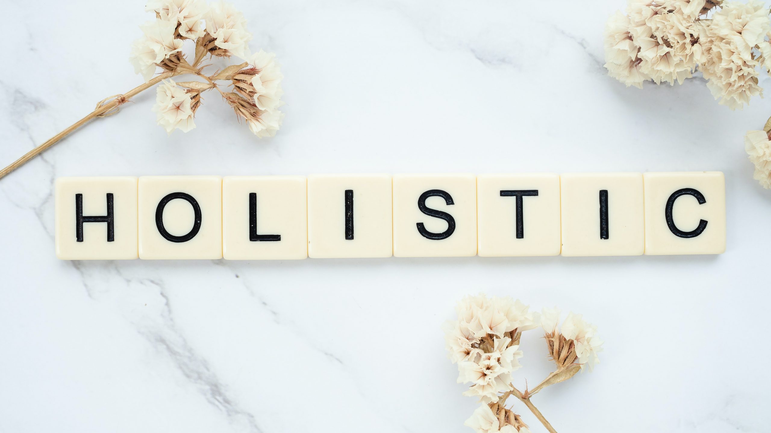 the work 'holistic' - pertaining in this post to holistic business