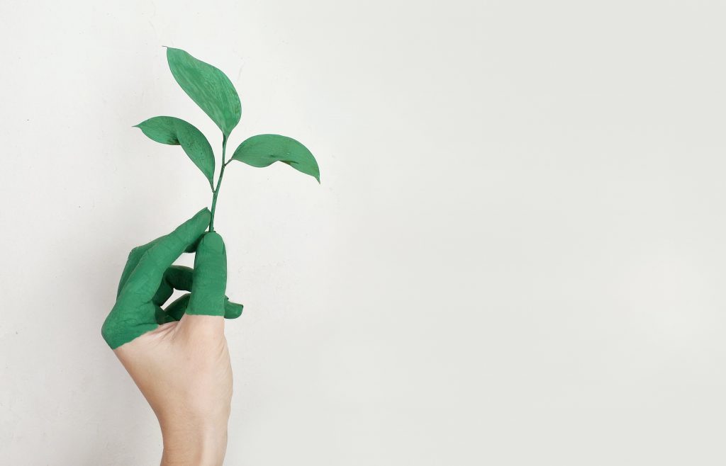 Hand holding plant to represent money in business