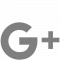 google grey logo one